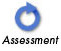 Assessment